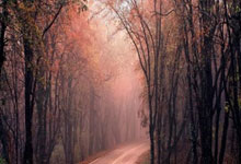 英冠南安普敦vs普雷斯顿最新情况如何？