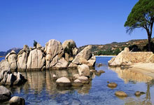 2020年世界杯足球赛程表是怎样的？